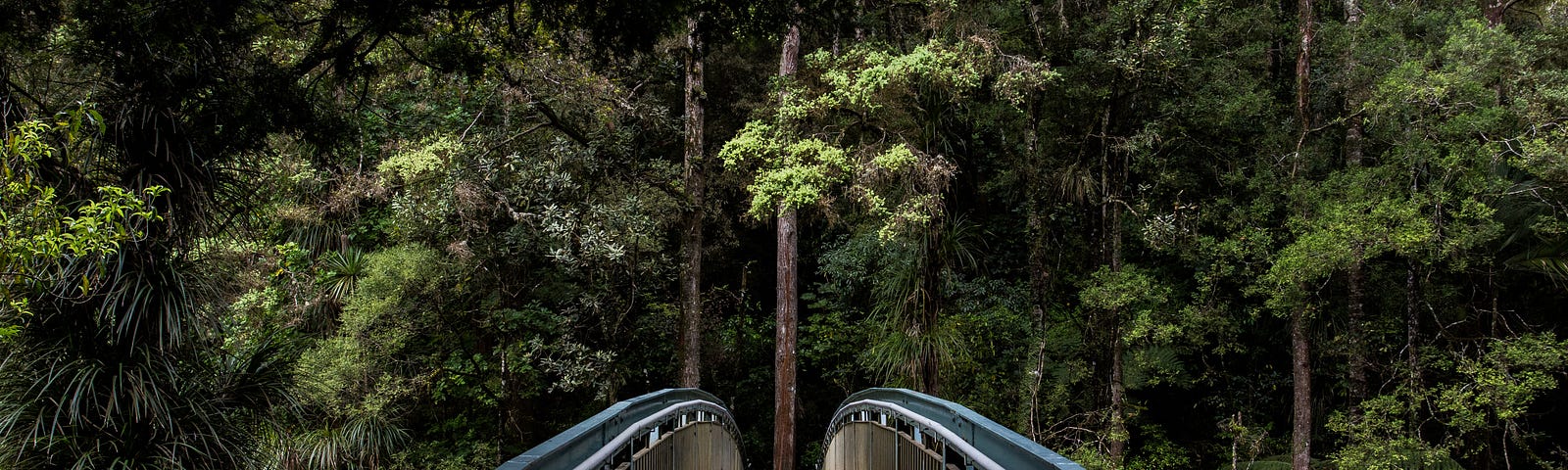 A wooden bridge leading to a nature forest