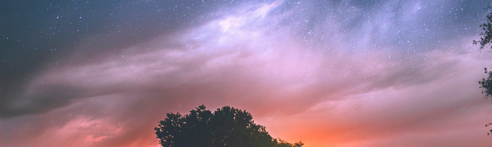 a sunset behind a large tree- you can see starts toward the left and pink hues in the sky