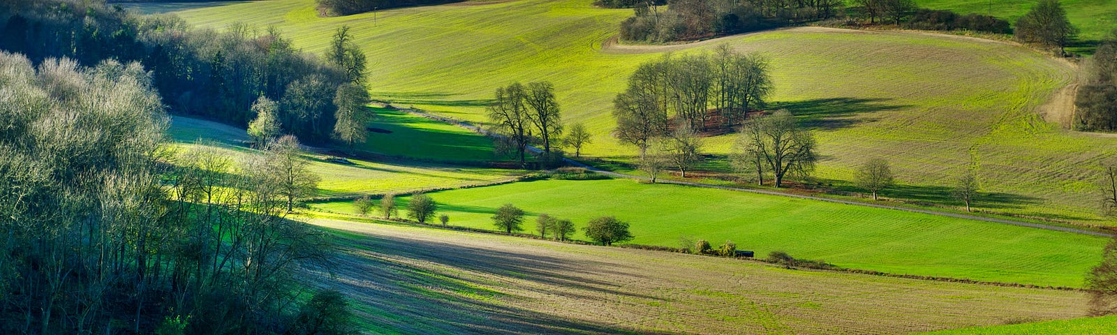 rolling hills dotted with trees and cut grass