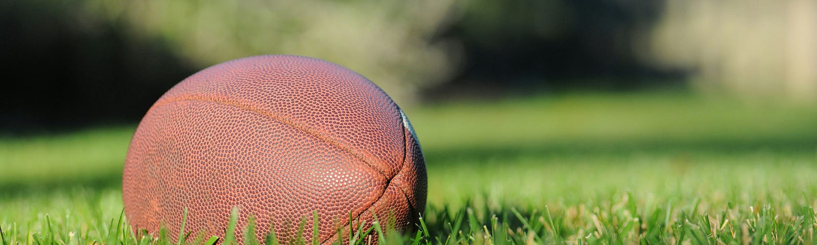 A football sits on the grass.