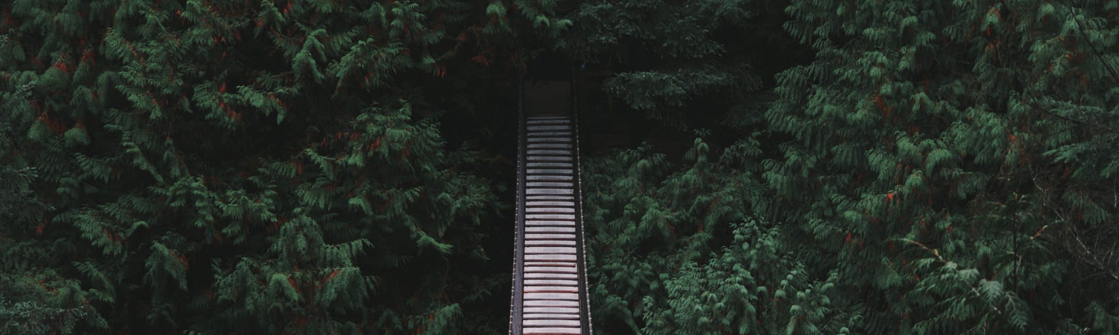 A bridge taking you from your current position to a new greener land that’s associated with a new habit.