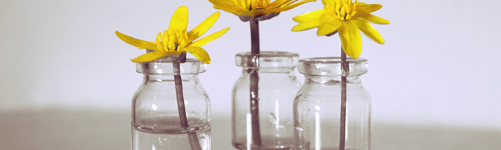 three yellow flowers in vases