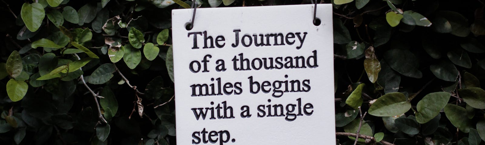 Sign that reads “the journey of a thousand miles begins with a single step.”