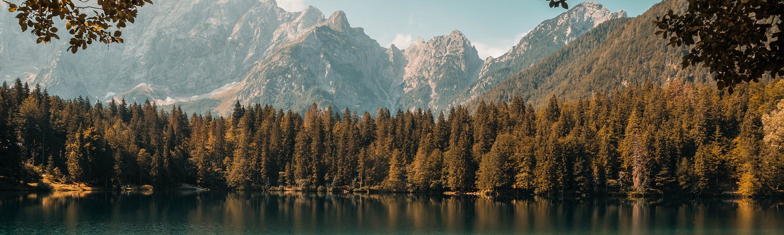 Lake, mirror of forest