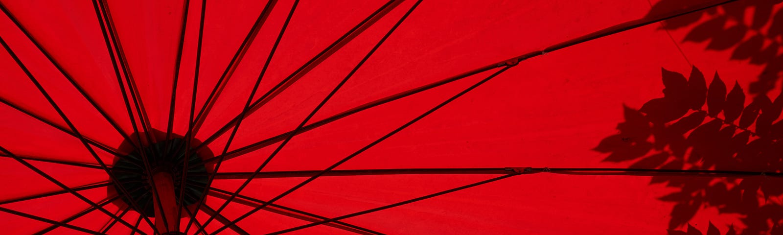 Photo of the underside of a red umbrella with shadows of leaves on the right side. Photo by Loïc Fürhoff.