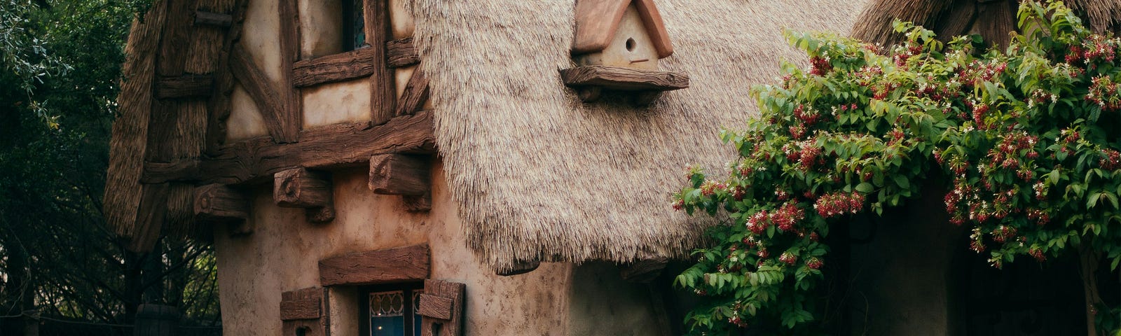 Thatched Roof Cottage