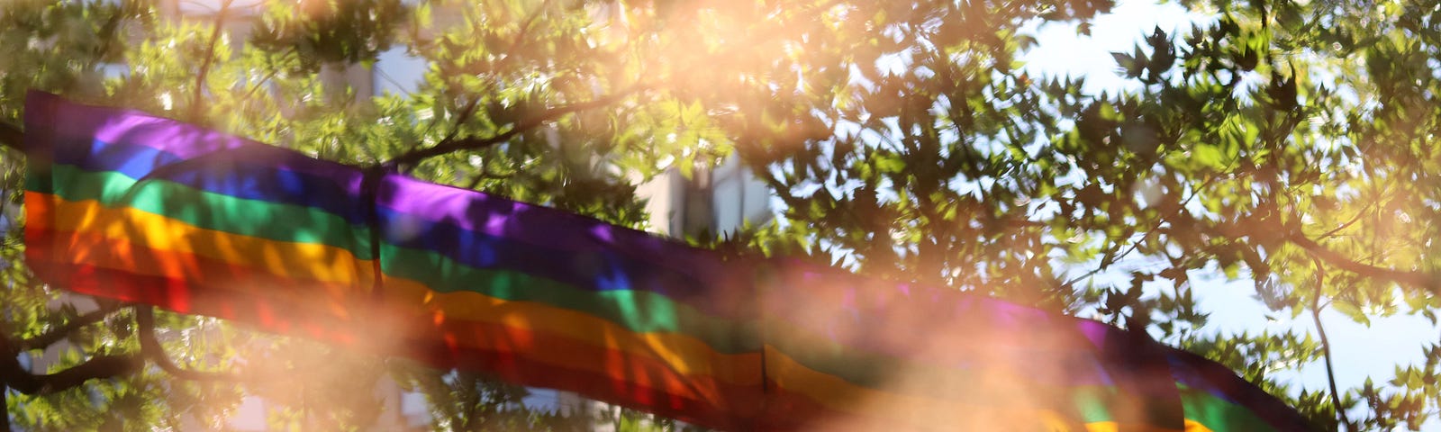 Pride Flag against the backdrop of trees.