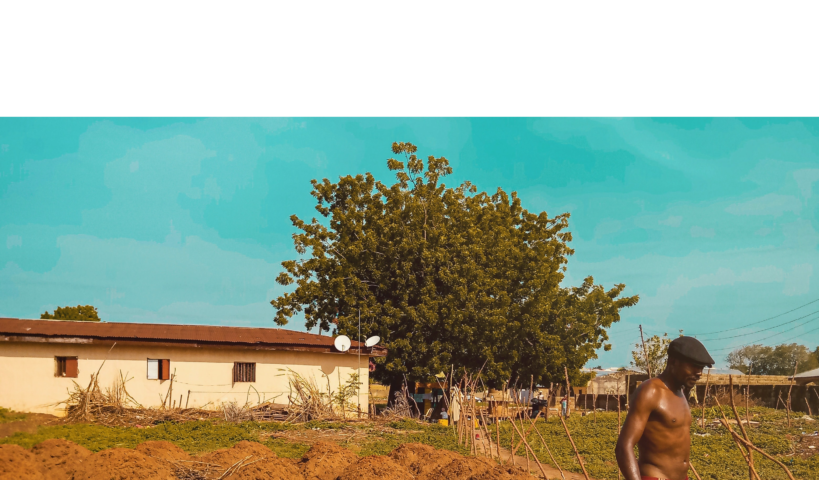 A subsistence farm and farmer in Nigeria