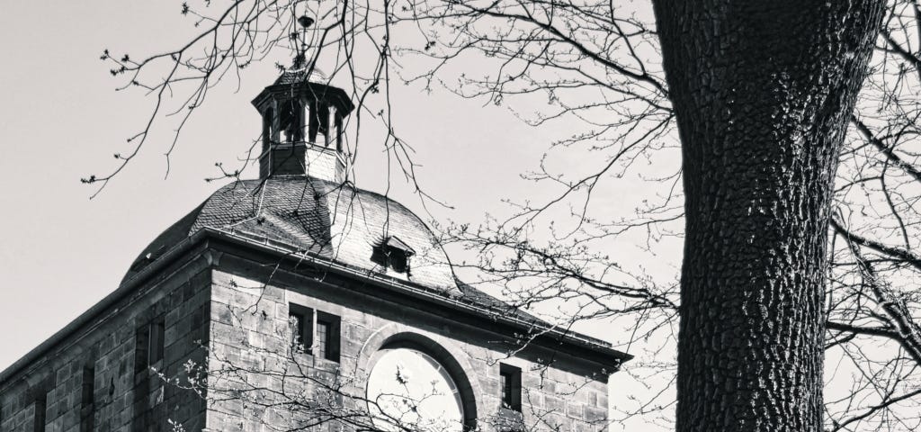 a black and white photograph of the top of a brick building with a clock on one wall, a rounded dome on the top with a steeple; on the right a large tree trunk frames the photo
