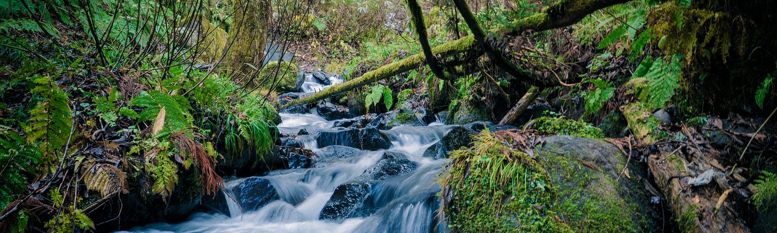Ein flacher mehrstufiger Wasserfall im Wald
