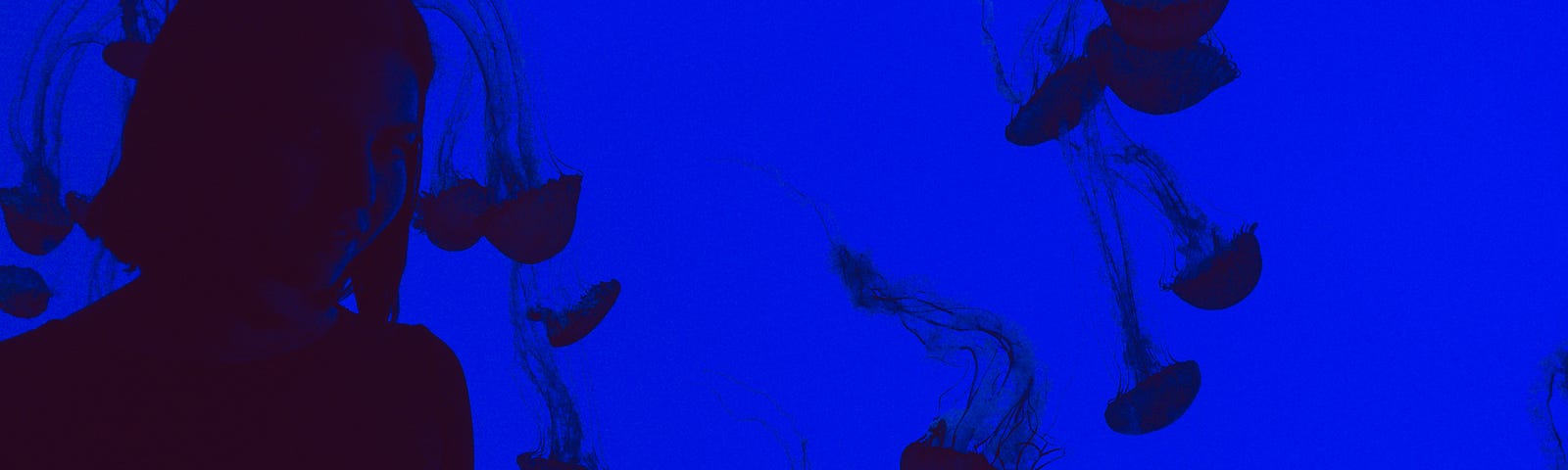 girl next to jelly fish tank at the aquarium