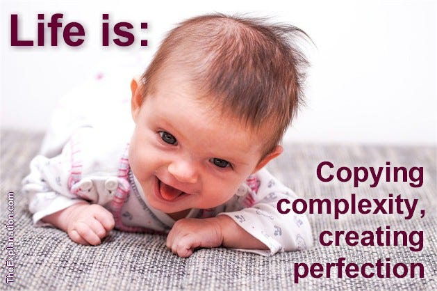 Life is copying complex DNA and proteins, creating perfection … a baby.