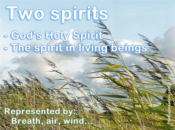 Two spirits. God’s Holy Spirit and the spirit in all living beings. Represented by breath, air, wind.