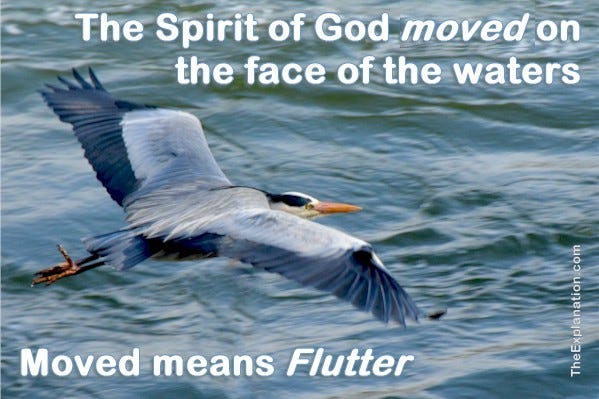 The Spirit of God moved on the face of the waters. The specific meaning of the Biblical Hebrew word moved is to flutter.