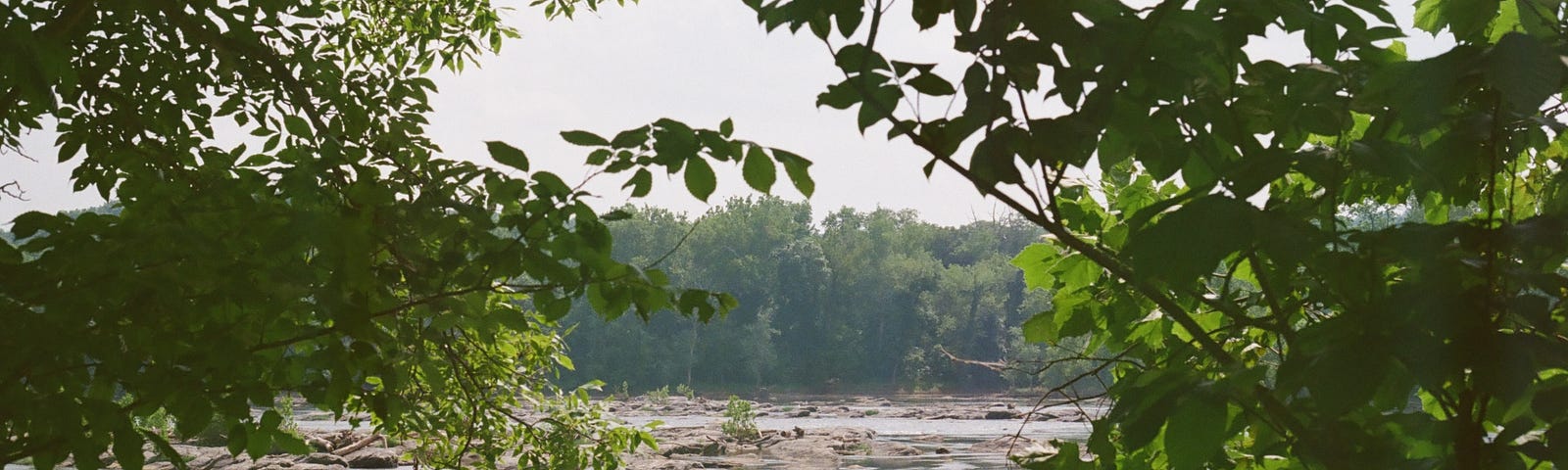 A picture of the Potomac River