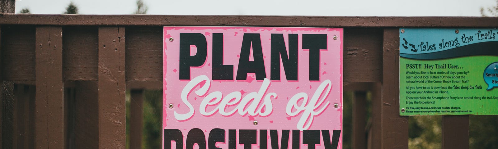 A pink banner that says plant seeds of positivity