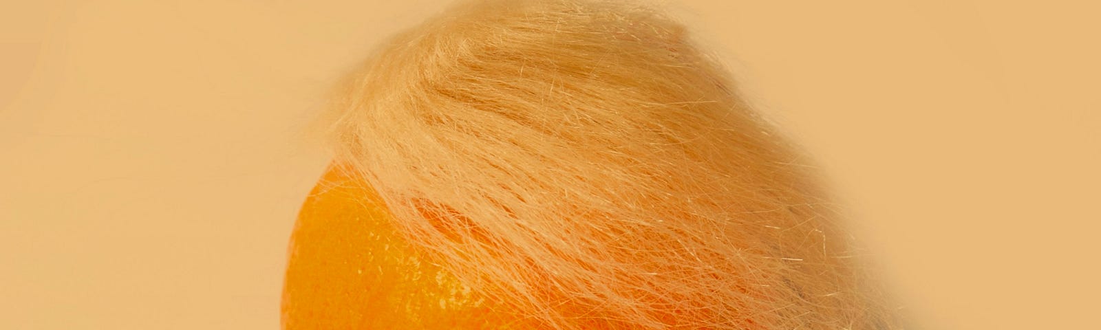 Photo of an orange with hair.