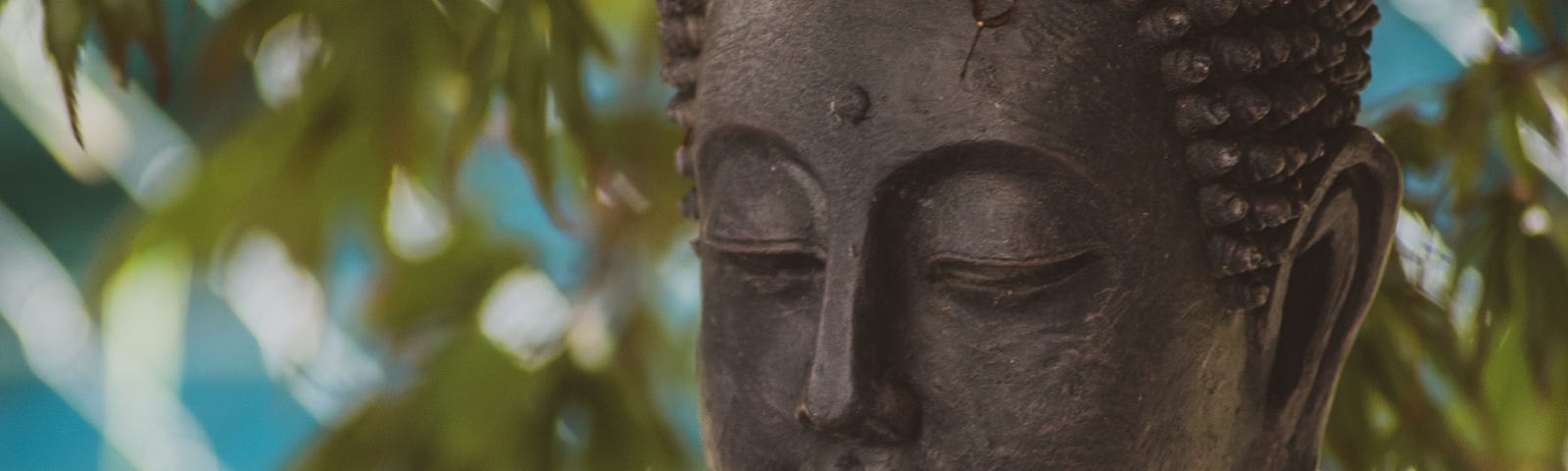 A statue of the Buddha meditating under the shade of a tree