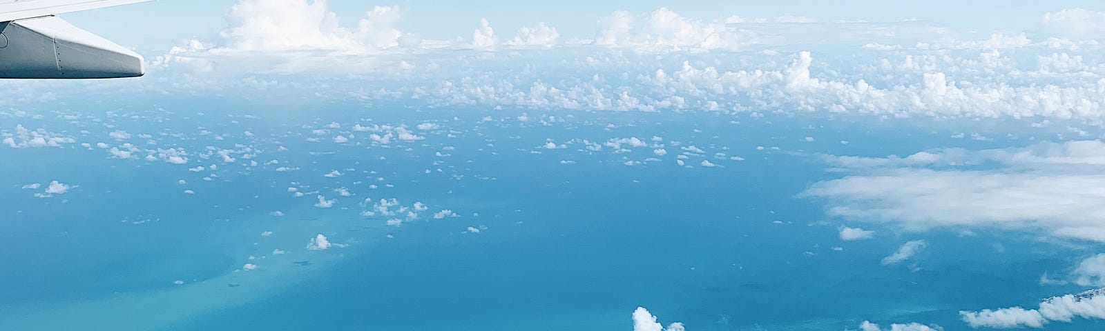 Picture of wing of an airplane