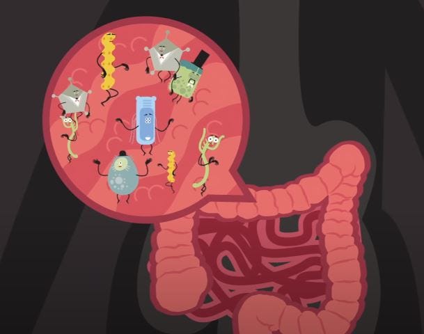 Picture of the intestines and bacteria, and the effect of cholesterol.