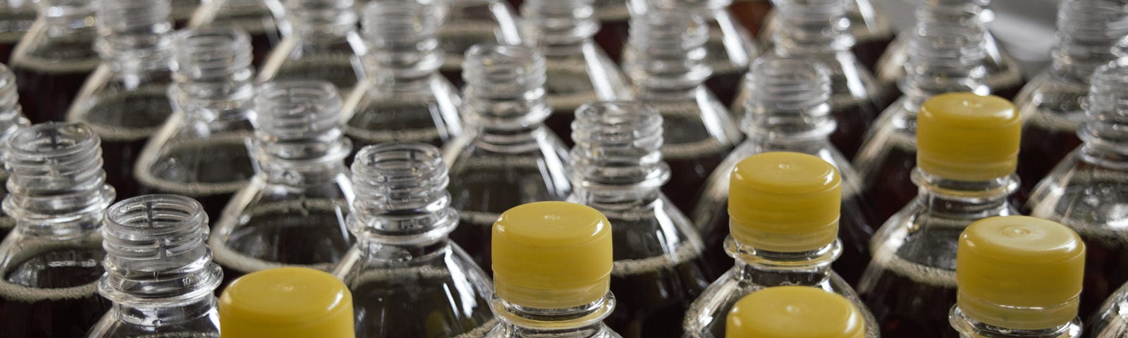 Bottles lined up at a bottling plant