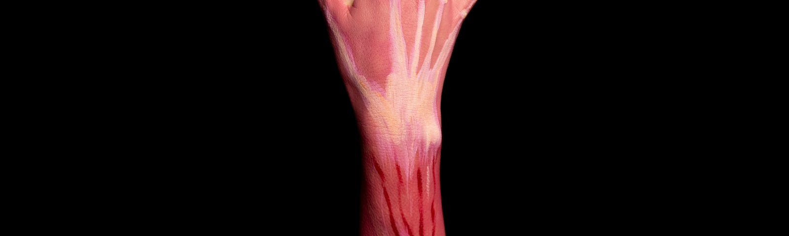 An arm extends upward. Stripped of skin, the model shows muscles, tendons, and arteries.