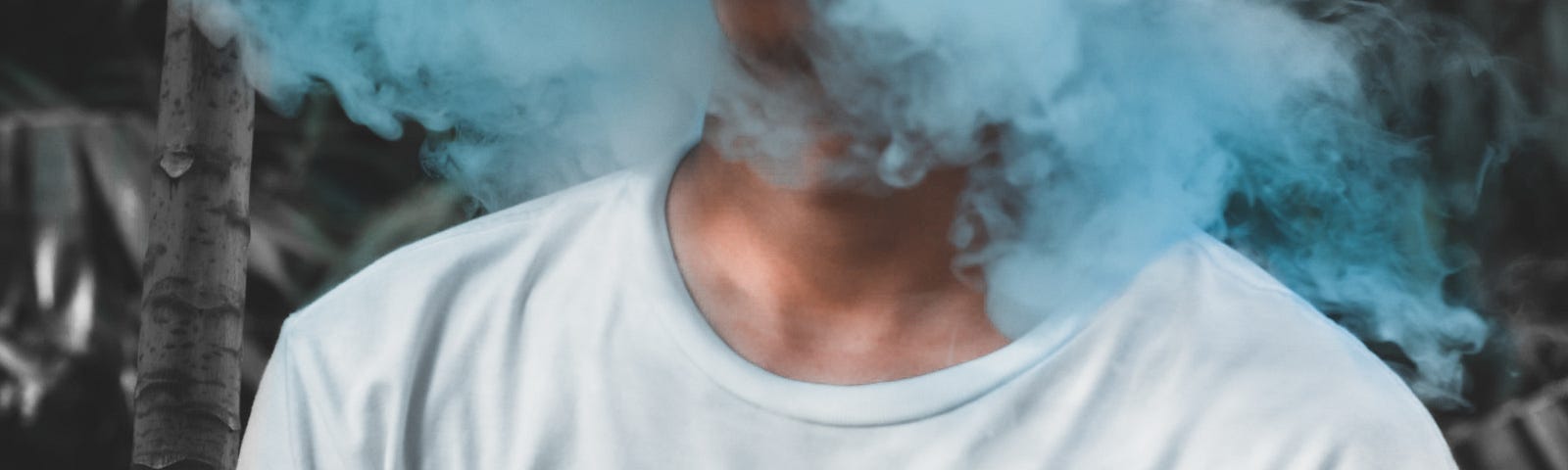 Person vaping; their face is obscured by a vape cloud and they look like a fool