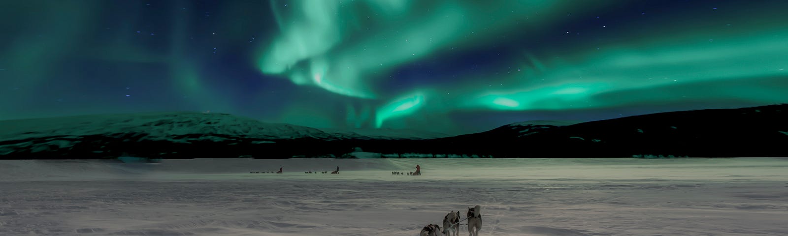 Huskies dog sledding with a green-blue aurora against a darkened sky; another team of dog sledders ahead.