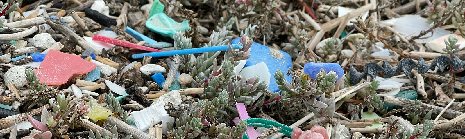 A pile of plastic toys, bleached from the sun, tangled in beach-side plants.