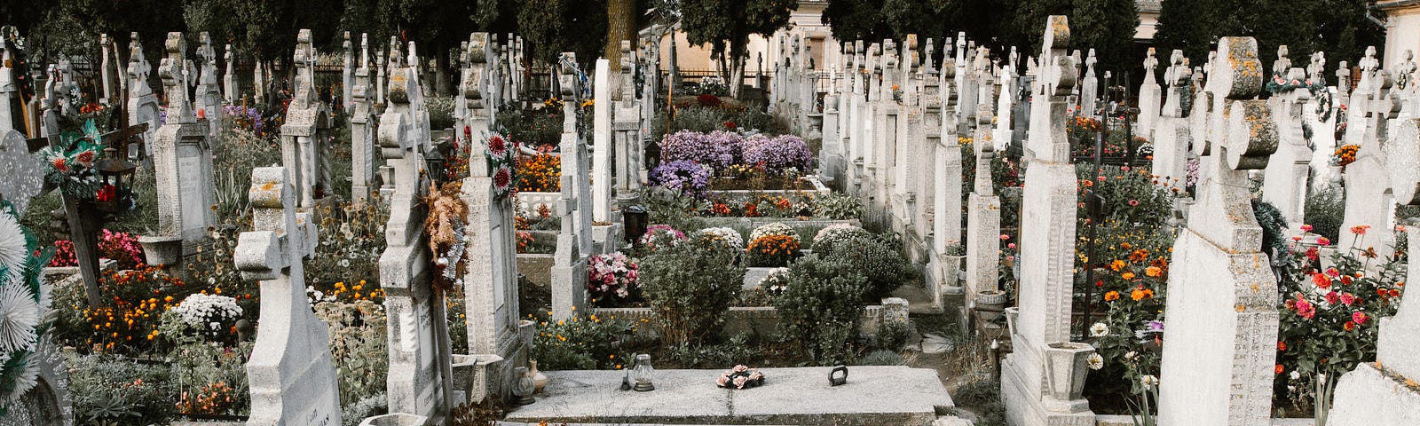 Photo of an old graveyard with dying flowers.