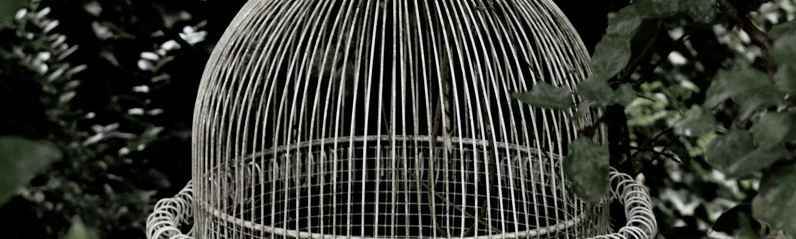 Here is a photo of a birdcage with the door open, representing our fears of stepping outside and flying, expanding our lives, and finding fulfillment when we risk taking flight.