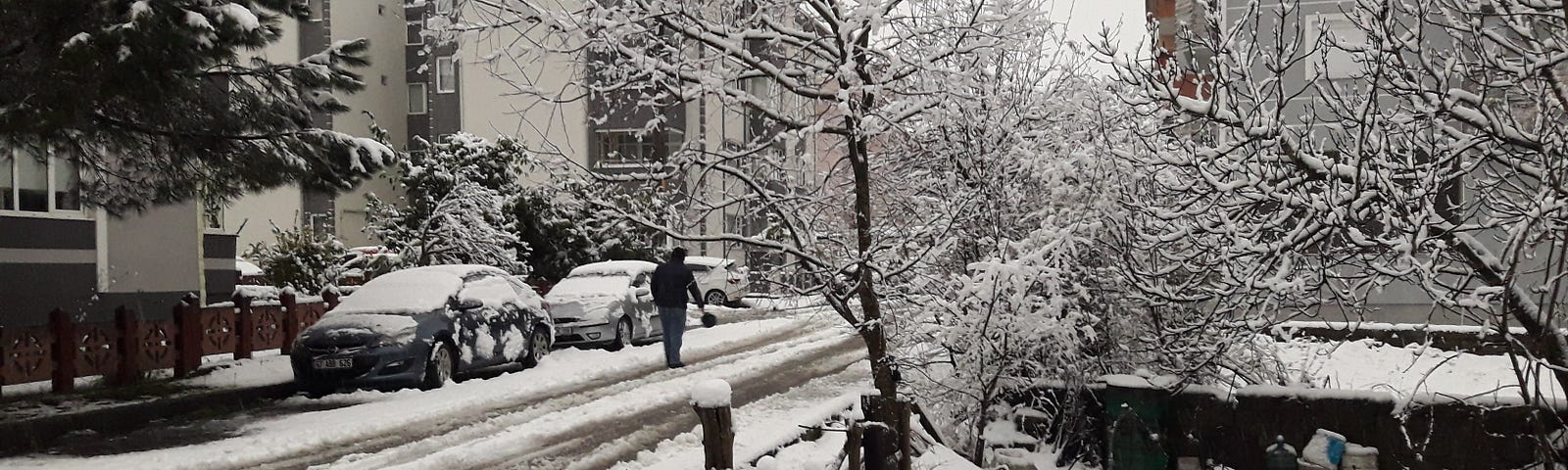 View of icy snowy street and cars snowed in.