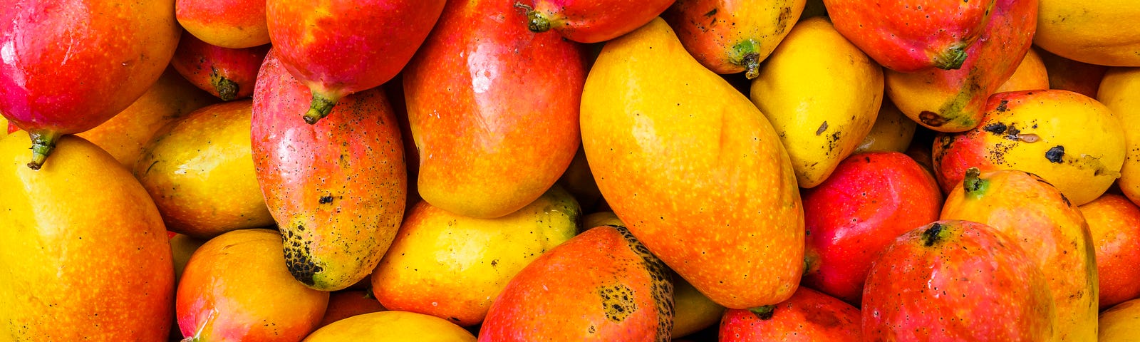 A pile of many brightly colored mangos.