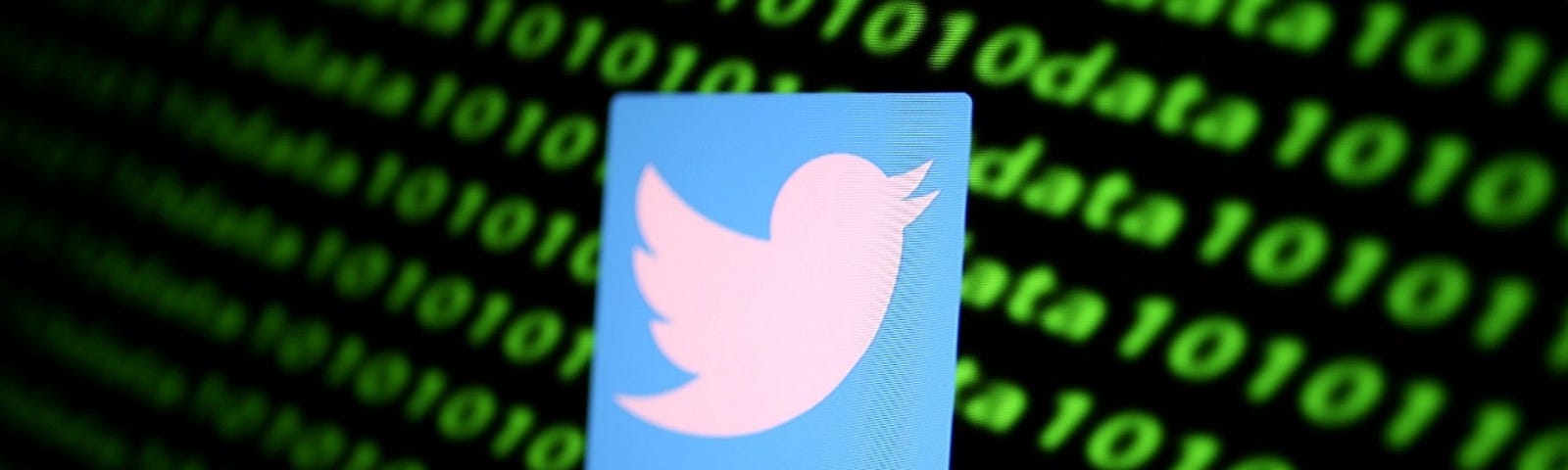 Twitter logo and binary code. Photo by Dado Ruvic/Reuters