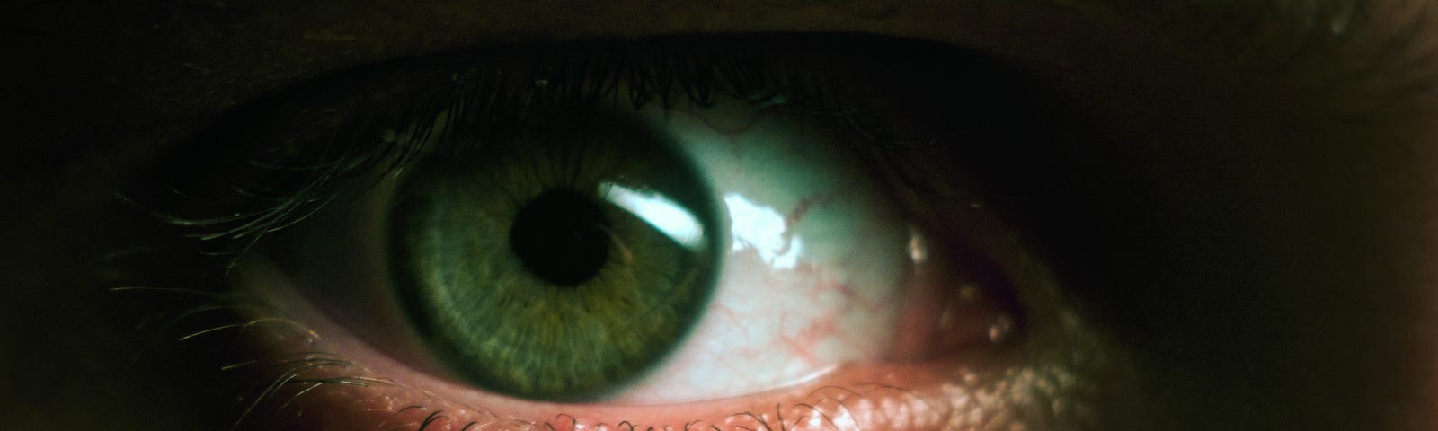 A close up picture of a green eye staring out from the darkness.