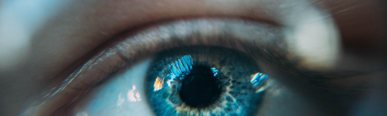 Closeup of an open eye.