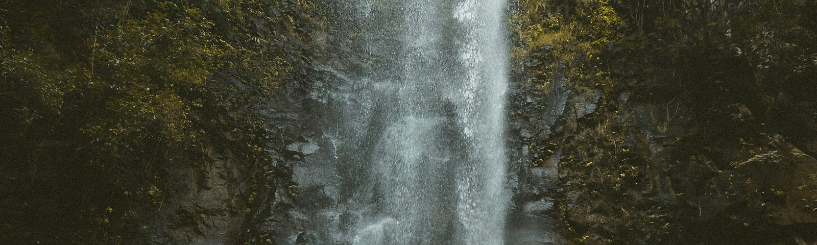 A muscular young man signs “Cowabunga” facing a waterfall flanked by green foliage on the cliff.