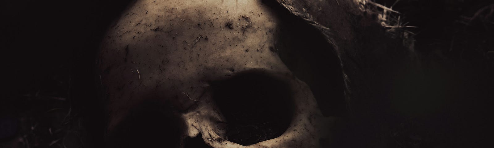 A human skull on a black background.