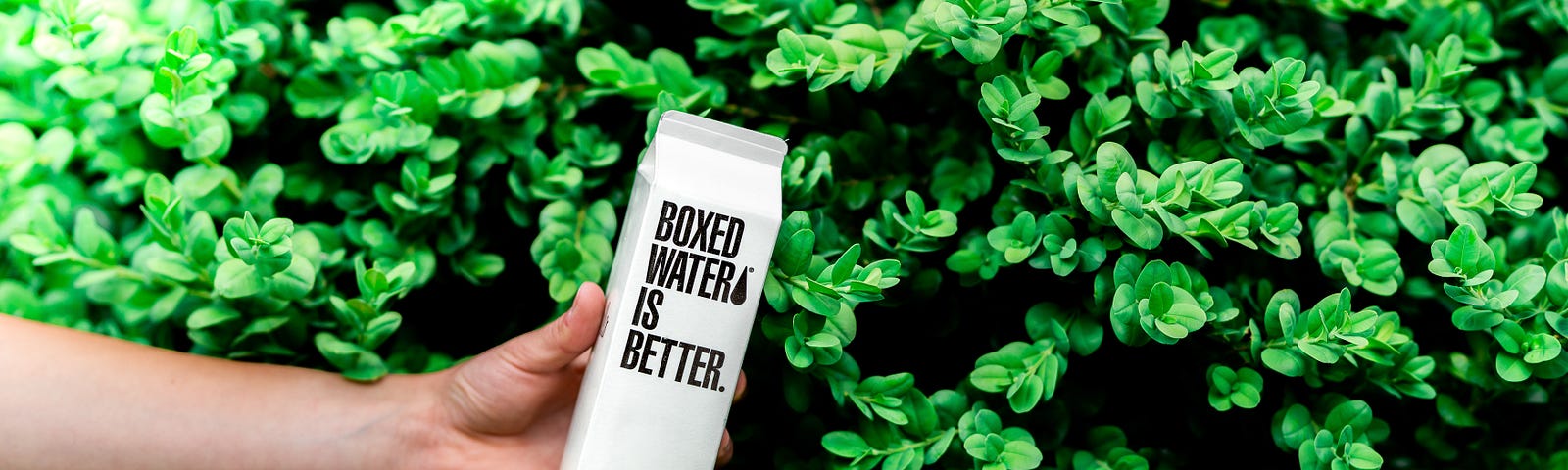 A person’s hand holding a milk carton shaped box in front of a green bush. On the carton it reads: “Boxed water is better.”