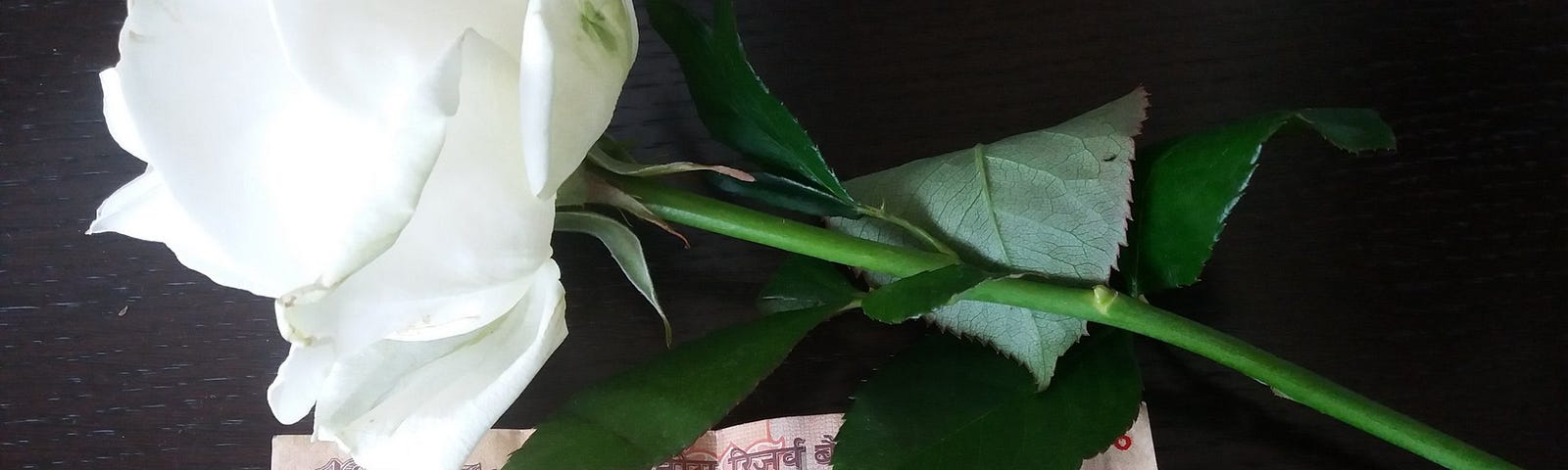 A ten-rupee note and a white rose.