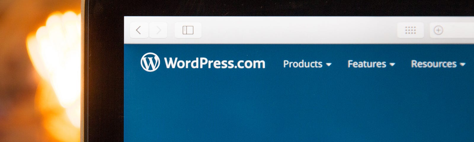 Building a wordpress wesbite