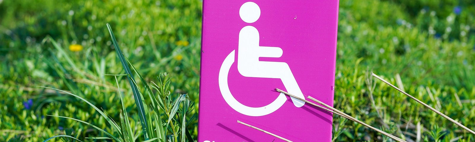 Photo of a rectangular lilac object with the disability symbol in white and with a phrase that reads “Step free route”, under this there is a white arrow pointing to the right. The object is on grass.