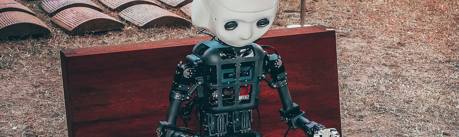 A robot (sans covering, except for the head) sits no a wooden bench as they type on a keyboard. Artificial intelligence and a deep learning (DL) model (“Sybil”) may predict an individual’s future lung cancer risk after a single baseline computed tomography (CT) chest scan. The AI is seeing more than nodules; it notices tissue changes in the area of a future nodule.