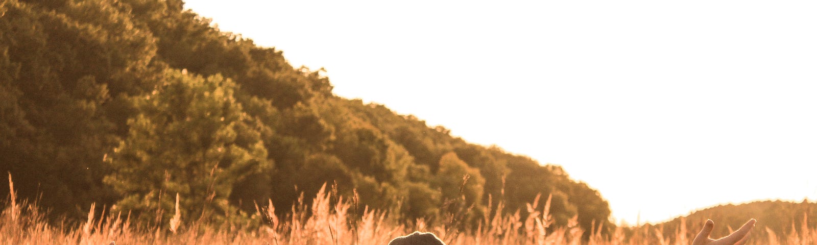 A young man in a sunny countryside, happy and opening his arms