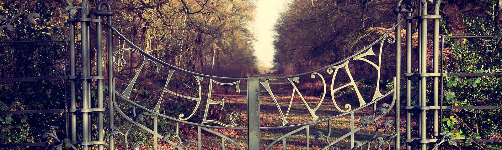 Ornate iron gate with metal vine decorations and the phrase “THE WAY” as part of the metalwork. The gate bars a path through trees.