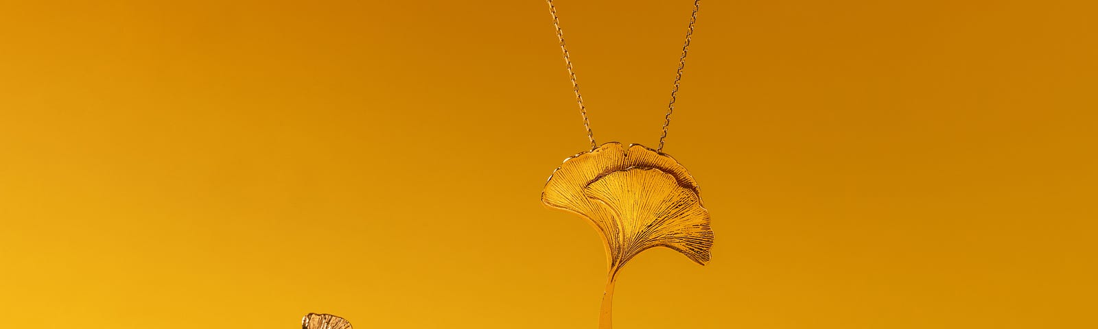 gold jewelry against a golden background