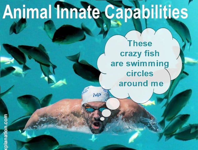The innate capabilities of sailfish (109 km/h) let them swim circles around Michael Phelps (7 km/h) at any Olympic Games.