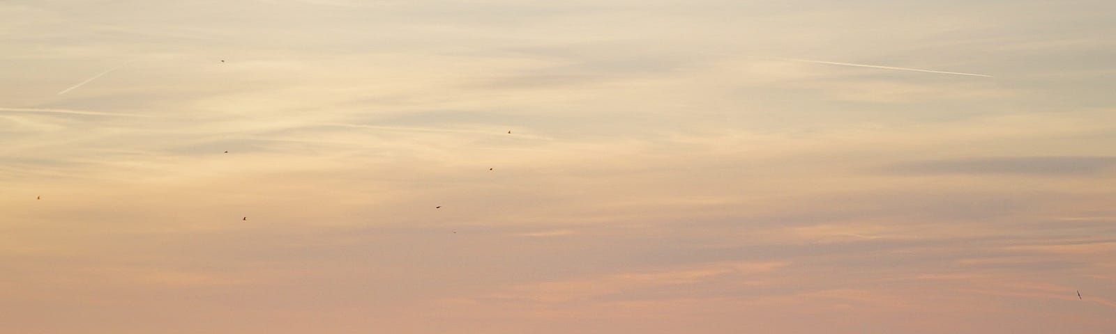 Photo of sunset (or sunrise) reflecting on ocean.