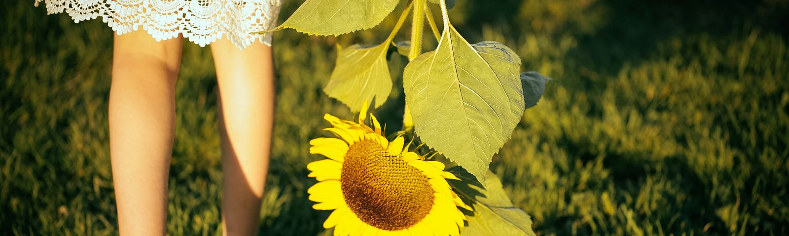 Women walking with sunflower hanging toward her feet. Mid-life is the best life.