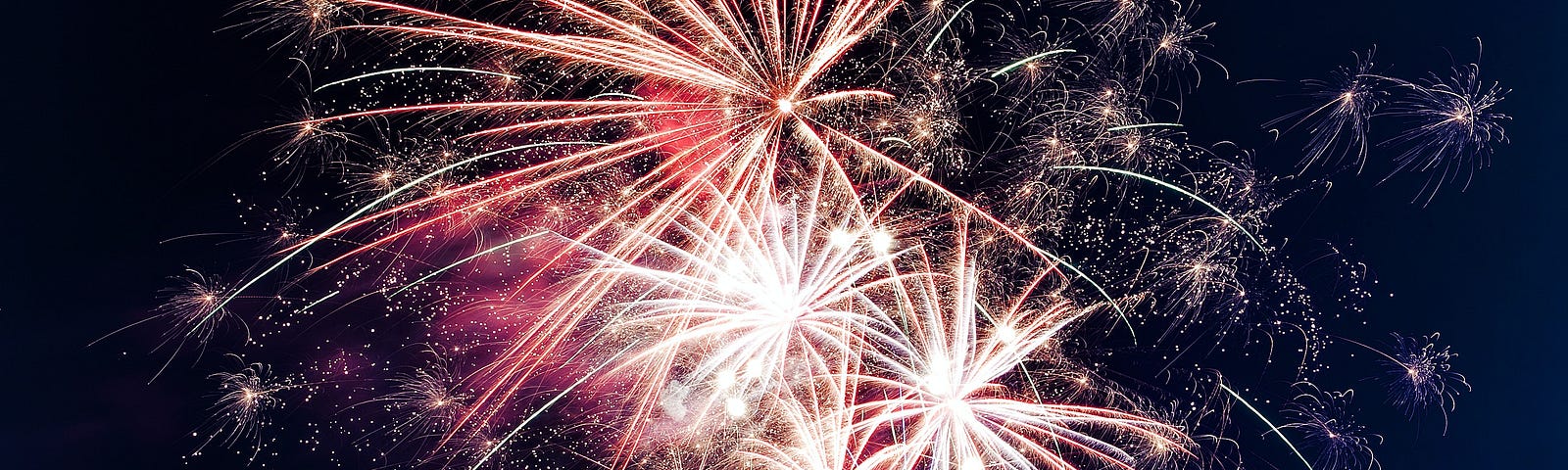 Fireworks against a midnight sky.